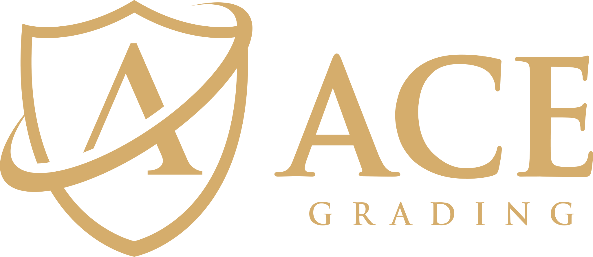 Ace Grading